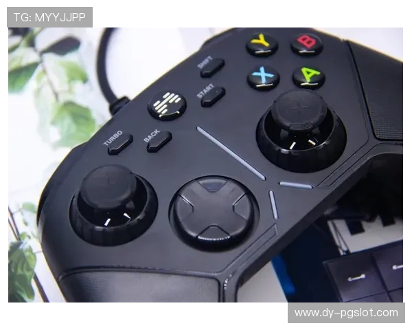 适合第五人格PC端的游戏手柄推荐与选择指南 适合第五人格PC端的游戏手柄推荐与选择指南